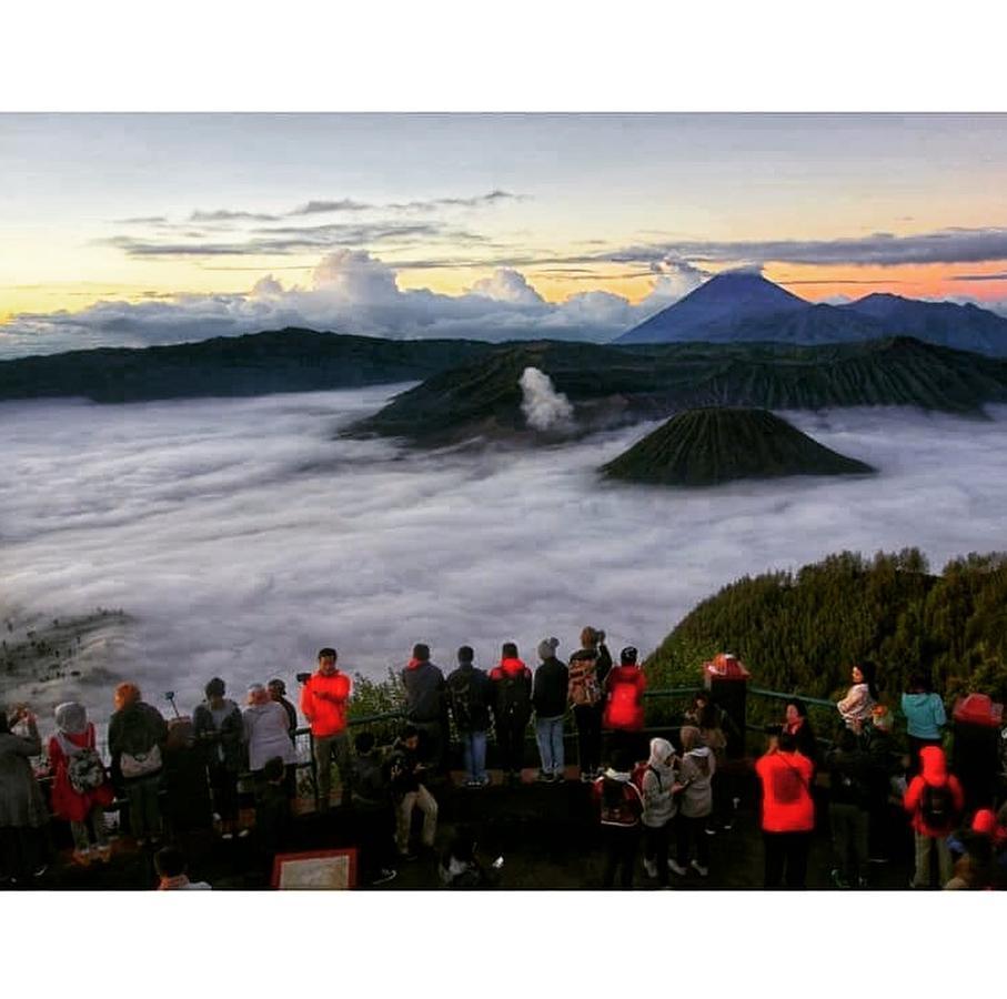 شقة Bromo Backpacker Tosari باسوروان المظهر الخارجي الصورة