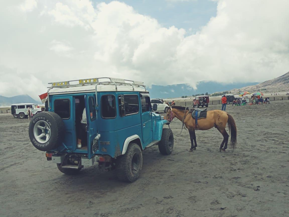 شقة Bromo Backpacker Tosari باسوروان المظهر الخارجي الصورة